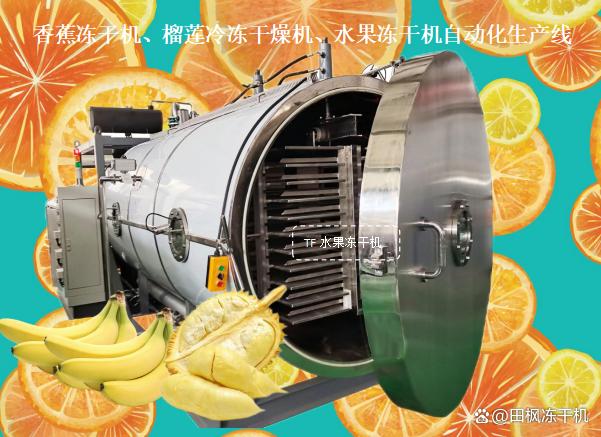 来自柬埔寨的阳光馈赠 自家工厂纯天然芒果干，品味热带果香