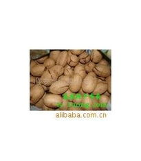 临安市山果炒货厂 从山野果实到餐桌美味的匠心之旅