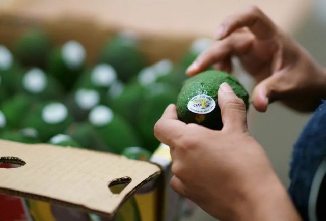 通胀阴霾笼罩拉美 警惕“失去的十年”历史重演